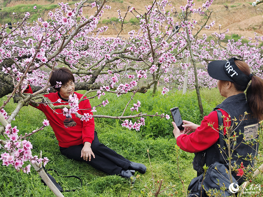 福建古田县举办桃花节美丽风景带来美丽经济