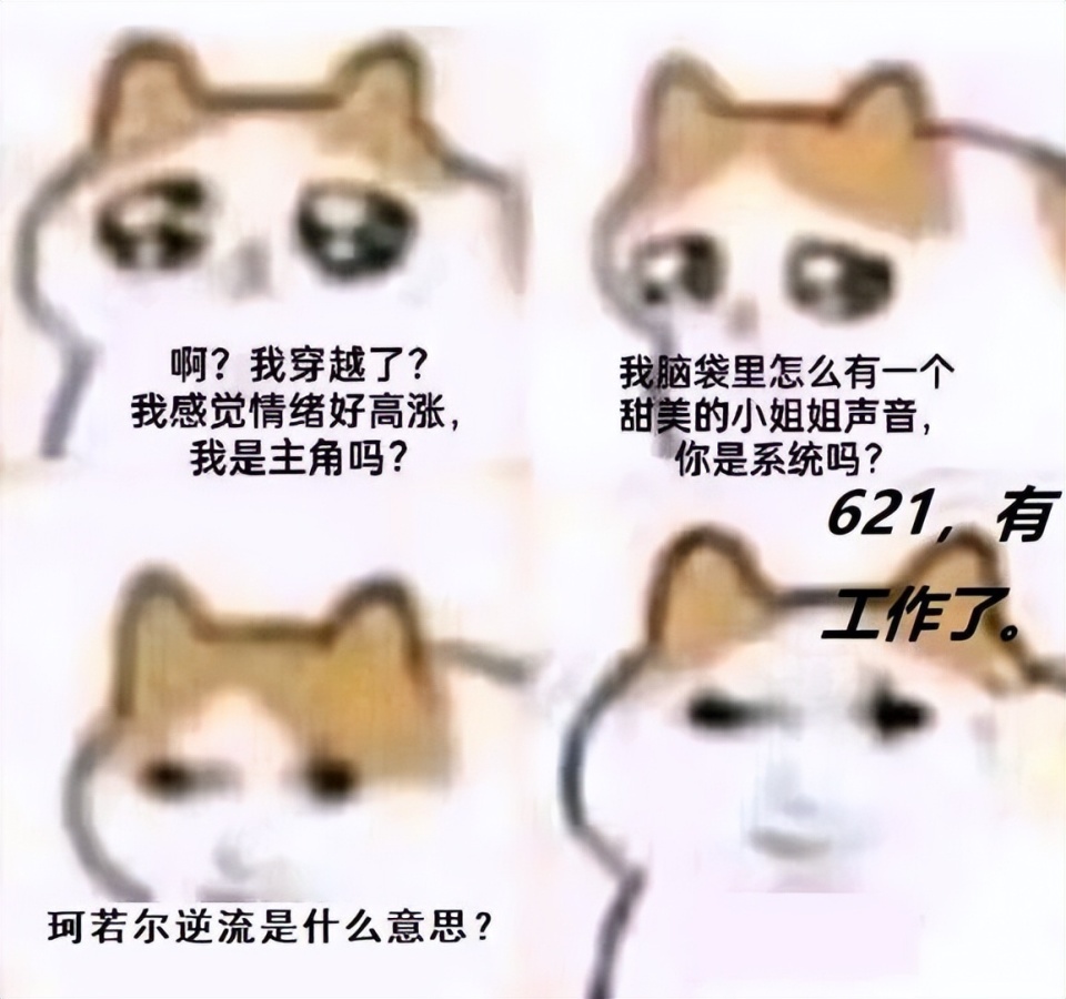 啊，不行了，这猫猫meme图太可爱了-腾讯新闻