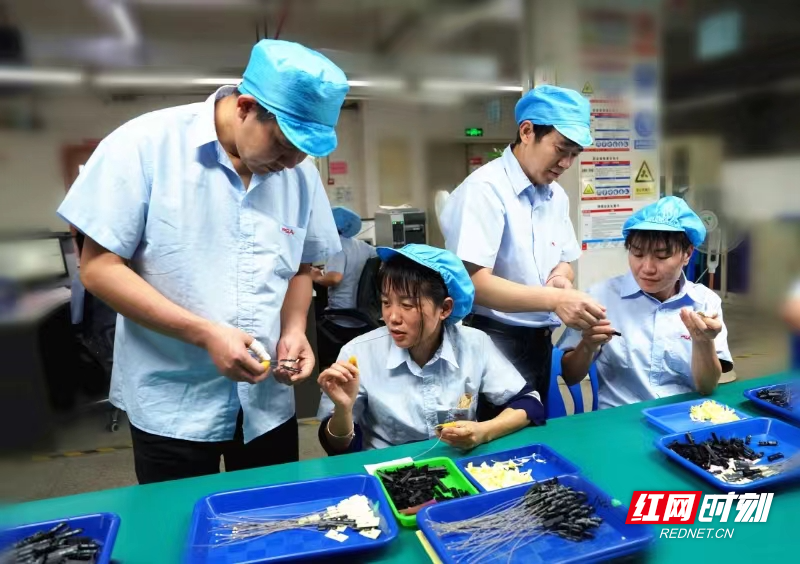 冷水滩区:"电子工匠"劳务品牌促就业助产业快发展