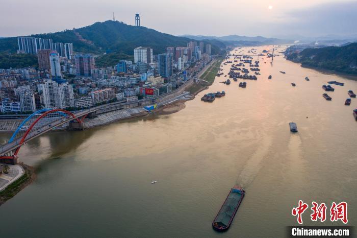 航拍西江航运干线广西梧州段:船舶往返穿梭一派繁忙