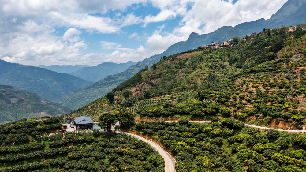 屏边县风景图片