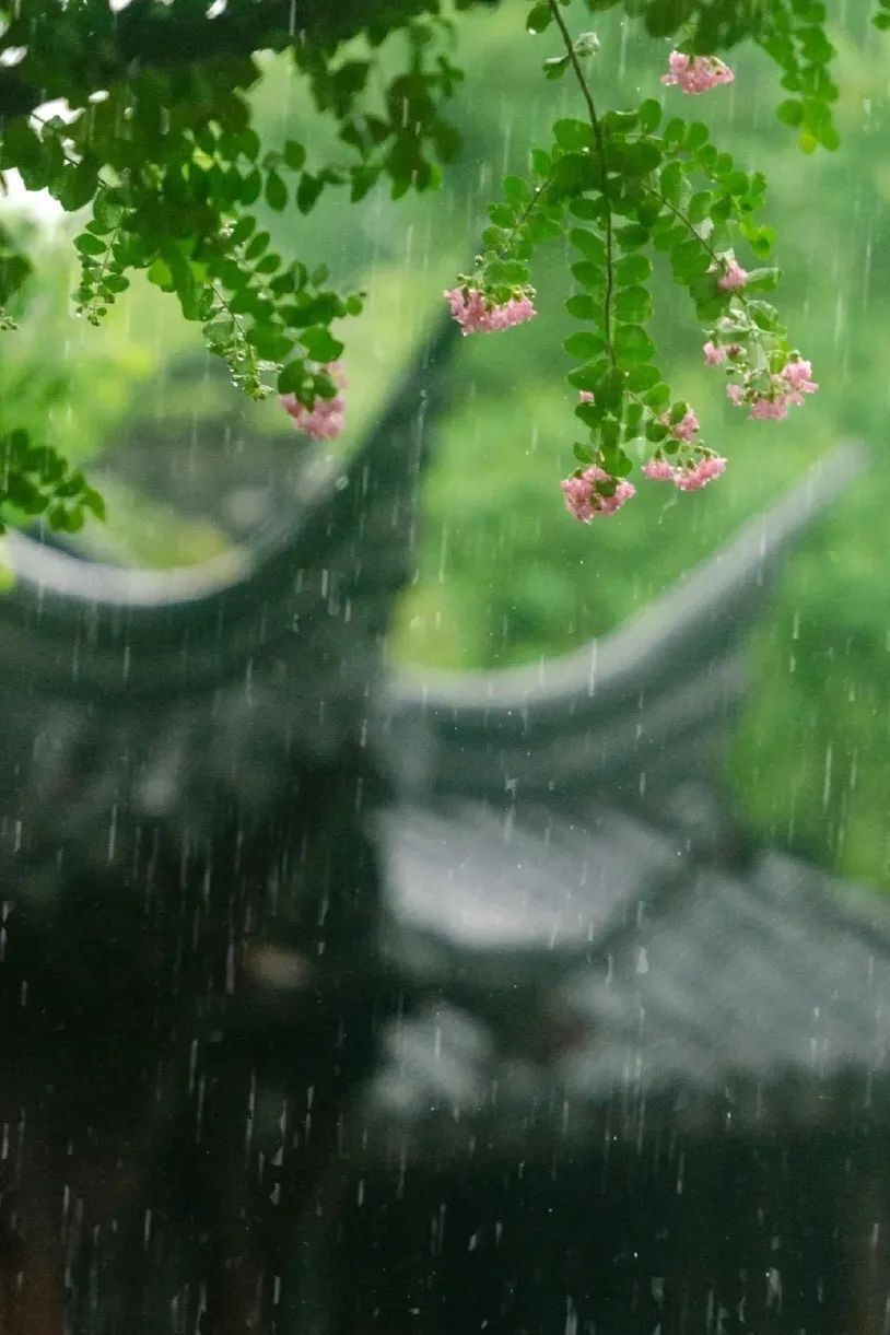 当雨落在绍兴,渲染出空濛诗意,烟雨江南就有了最真切的模样