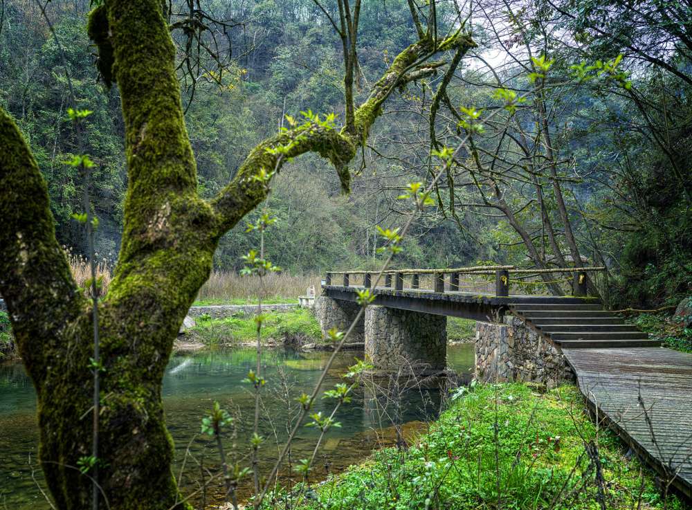 重庆龙桥河清幽秀美惹人醉_腾讯新闻