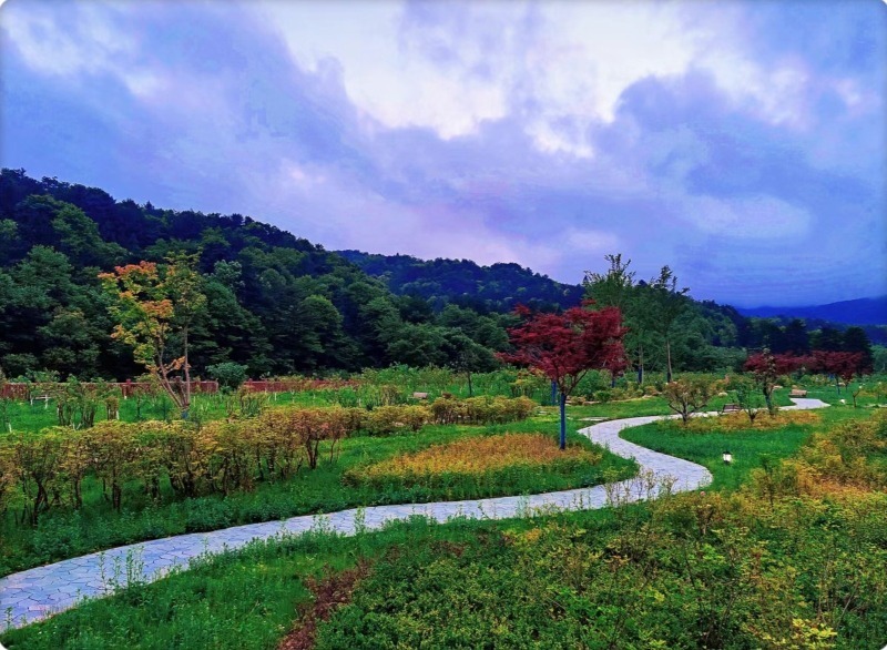 春满江淮颍州西湖碧波荡漾唯美磨滩风景如画
