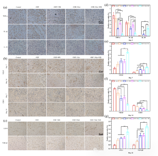 伤口酸是怎么回事《Mater. Today Bio》暨南大学李立华： 透明质酸水凝胶pH响应释放二甲双胍促进糖尿病感染伤口愈合！_https://www.jmylbn.com_新闻资讯_第5张