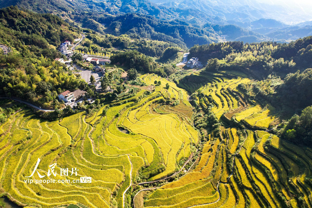 蕲春雾云梯田景点电话图片