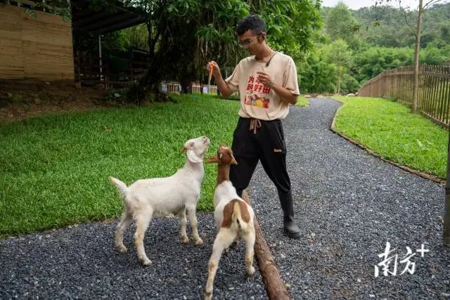 "叶伟荣说,如今在村里,他有了一群返乡创业的新朋友,同时带领大家一