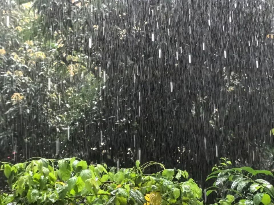 广州启动防暴雨内涝三级应急响应!
