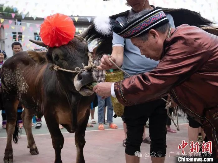 廖维 摄柳州209套公租房开启"配租"!房源及分配规则公布!