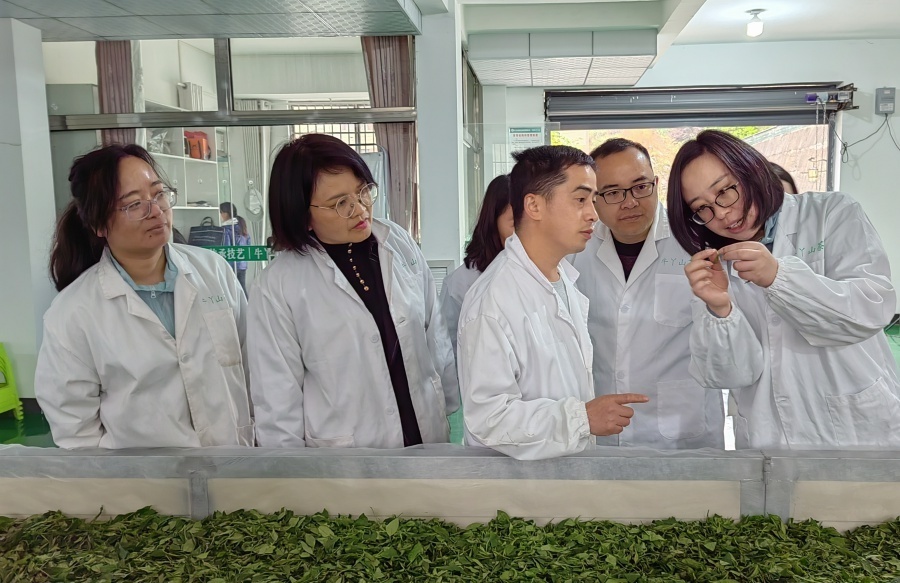 农科所茶叶（中国农科院茶叶研究所所长） 农科所茶叶（中国农科院茶叶研究所所长）《中国农科院茶叶研究所所长级别》 茶叶资讯