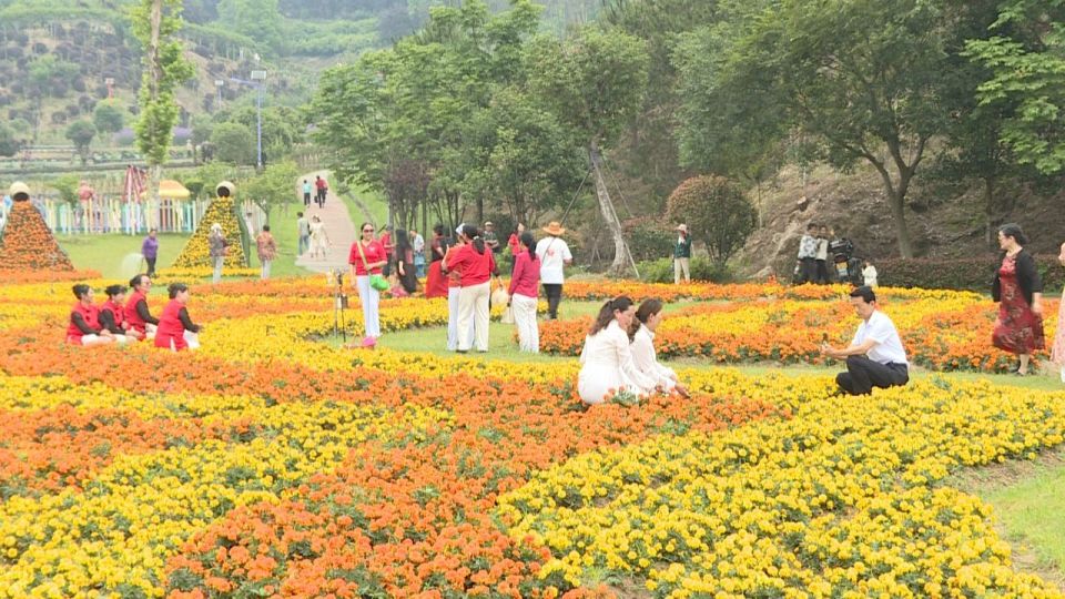 英山四季花海:花香阵阵游人醉 旅游经济热力足
