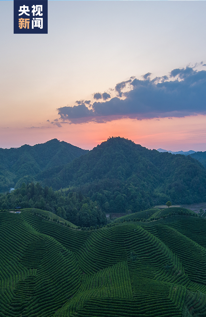 我的宝藏家乡| 最美不只油菜花,婺源处处是醉人风景!