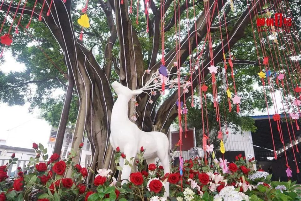 柳州新增一处"打卡"点!柳南区婚姻登记处将搬迁,新址在