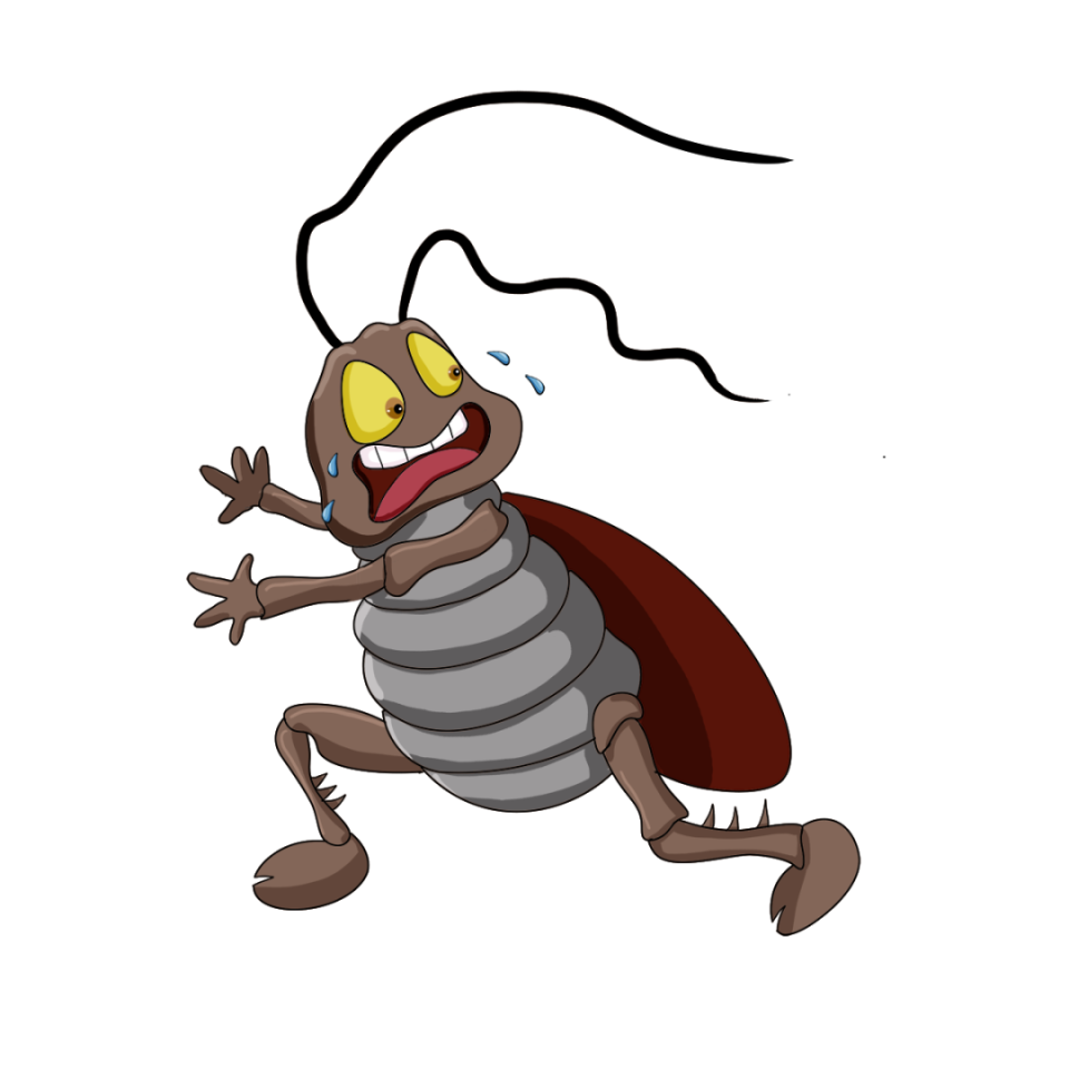 怎么对付"打不死的小强"?