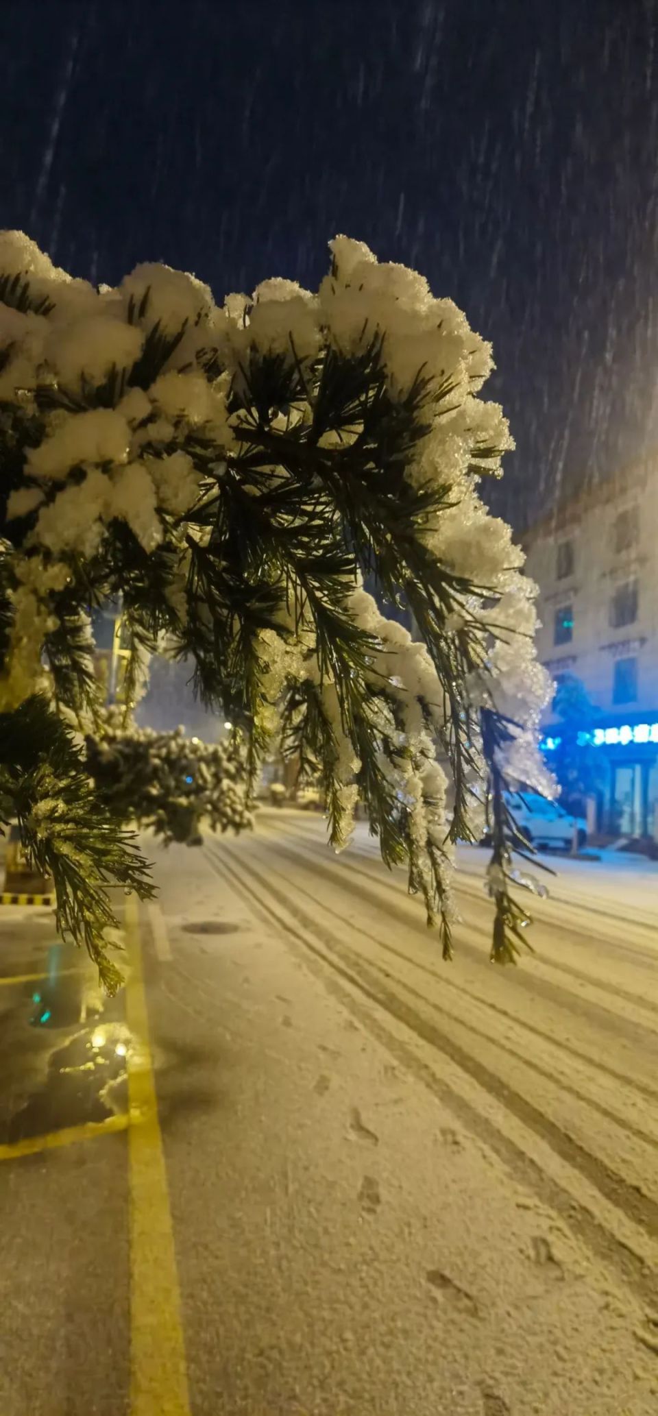 下雪啦!云南多地迎降雪,前往这些方向注意_腾讯新闻