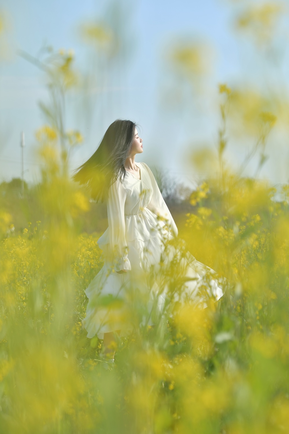 著名油画油菜花的女人图片