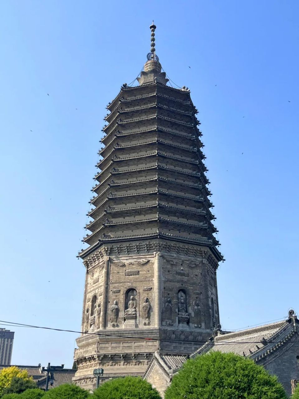 重新发现锦州「古塔公园」的美,这一次想赖着不走了.