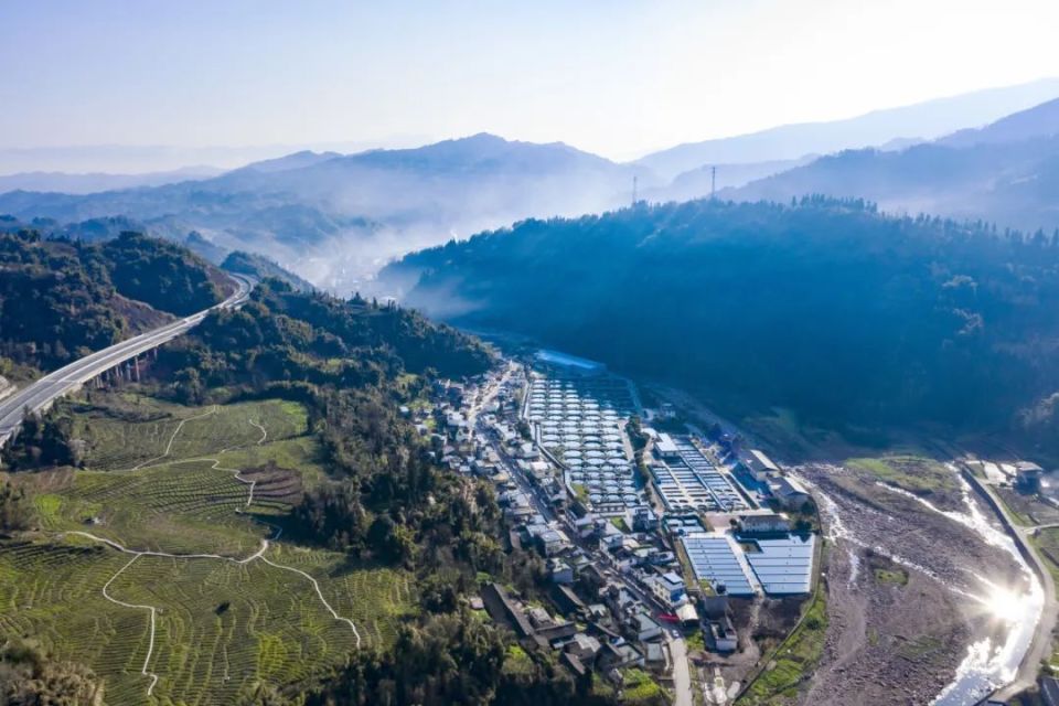 天全县好山好水养出致富大鱼