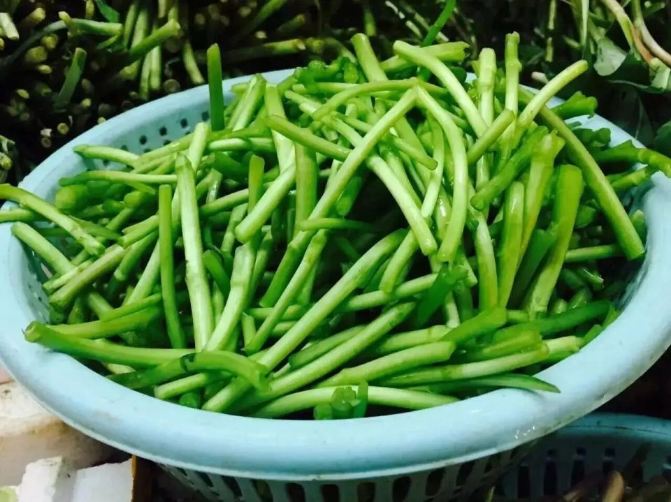 这8种“又香又臭”的食物，极具争议！你都喜欢吃吗？_腾讯新闻