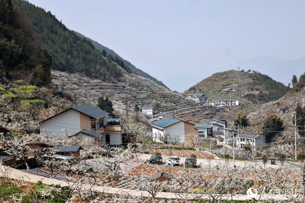 巫溪尖山镇图片