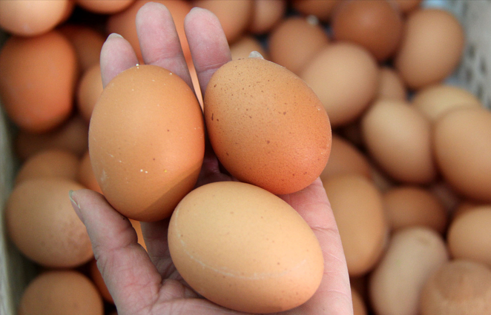 累涨7毛!4月15日调价后92号汽油,蛋价,鱼