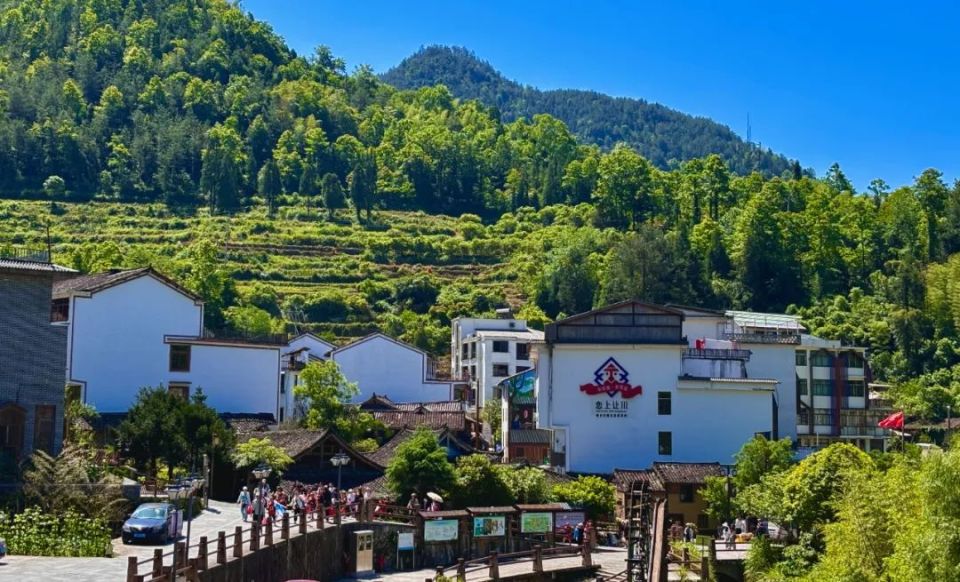 文成这个村,来了位特殊的访客!