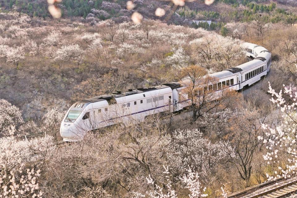 乘火车穿越花海是什么体验_腾讯新闻