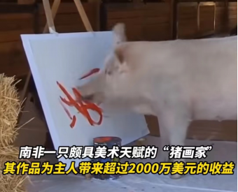 热点新闻网站_新闻热点网站官网_新闻热点网站排名