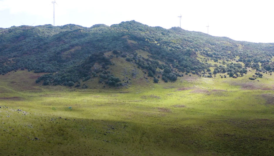 行摄宾川宾川乌龙坝草甸要睡醒啦