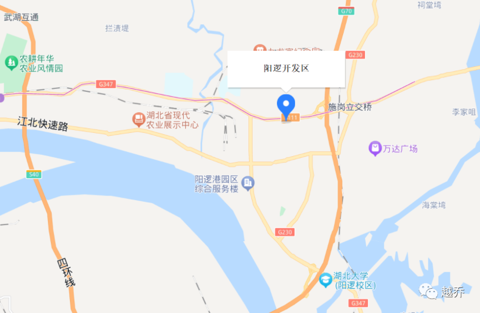 阳逻开发区地图图片