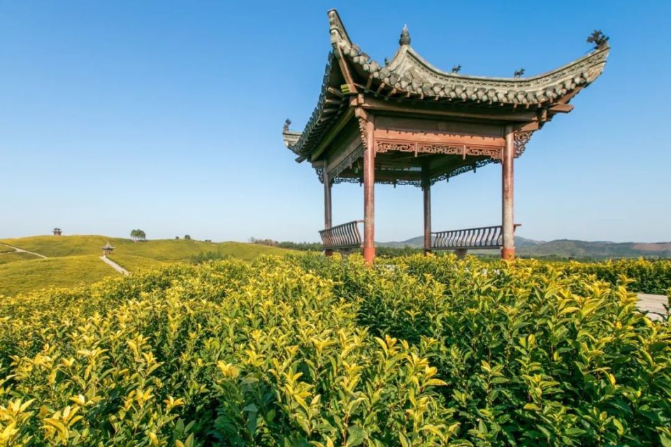 519中国旅游日 | 周末,带着妈妈来郎溪看花玩耍