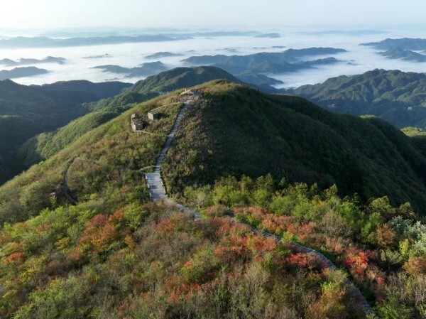 大熊山十里杜鹃图片