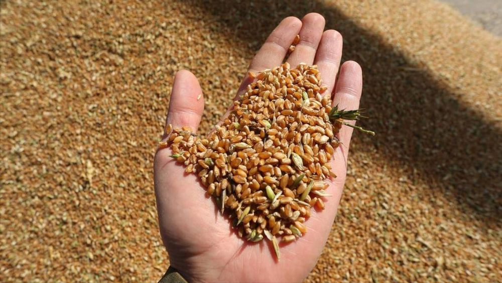 平安聚合支付_平安聚合支付怎么样_聚合支付平安银行