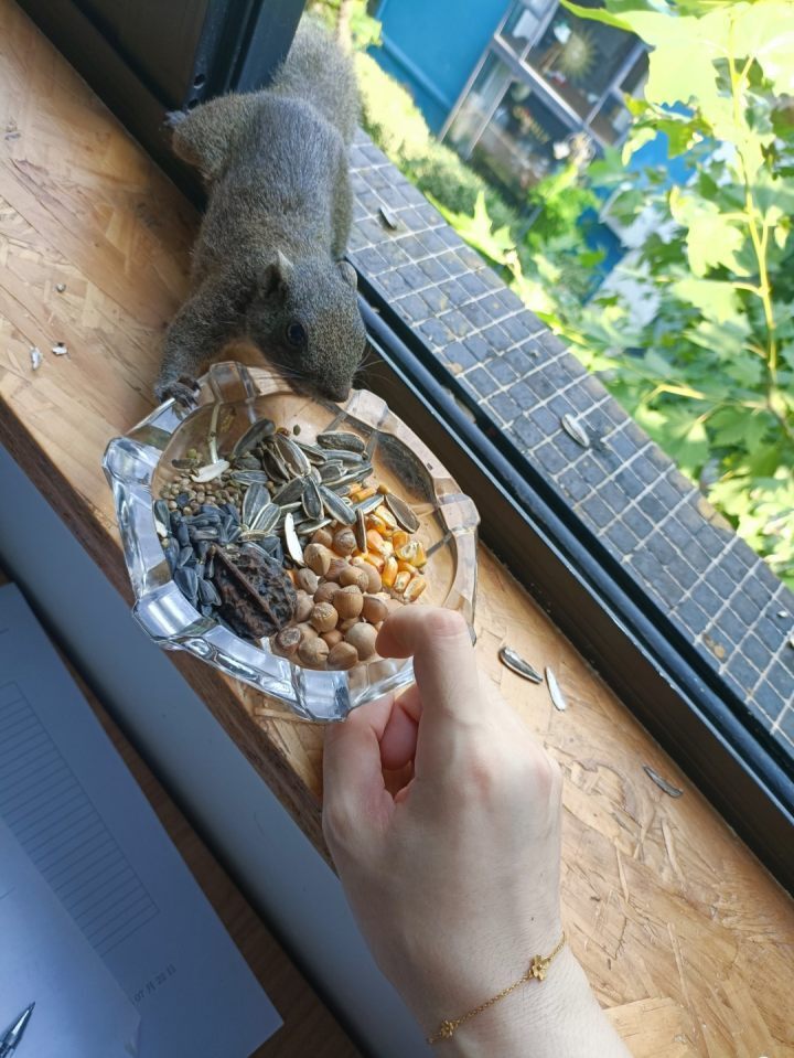 橙友晒出了西湖钢笔画,元老级集报参考书籍