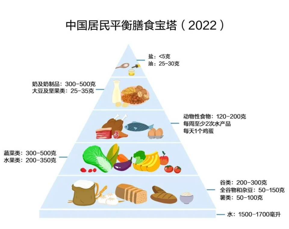 平衡膳食宝塔共分五层图片