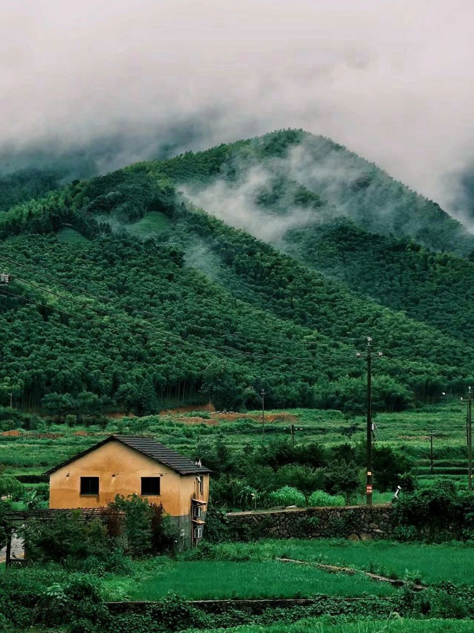 图源:masuma,青橙,吃饭超快,llllisa0,qiuqiuu,小