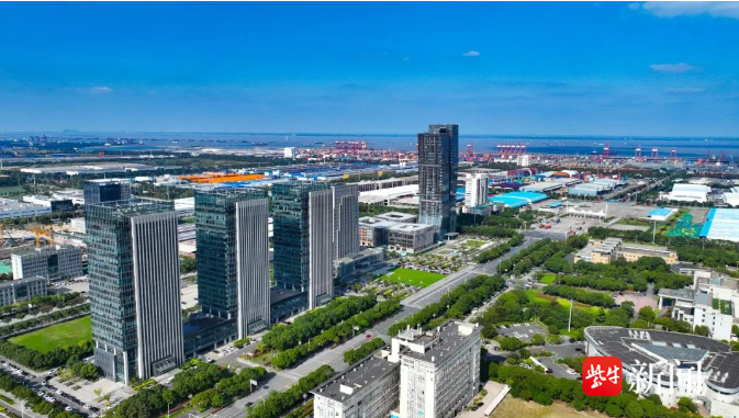 强化全生命周期服务，太仓港区全力推动重点项目建设提速增效