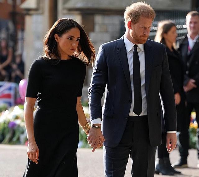 但是哈里拒绝让步,迫使王室改变策略:梅根是一切问题的根源