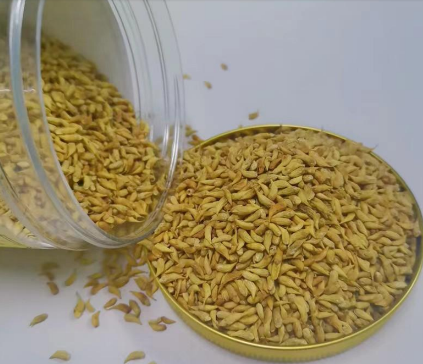 用金槐米制作的金槐茶作为养生茶受到市场青睐.