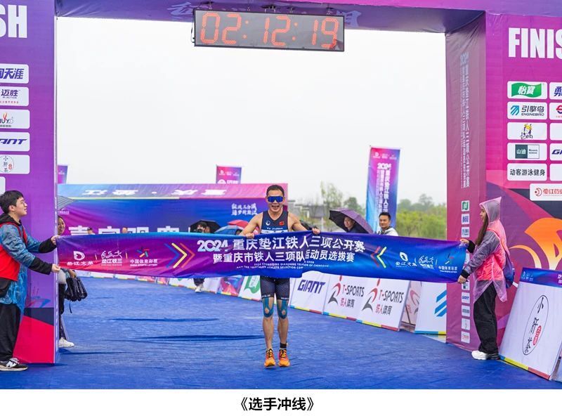 杨舒淇=杨舒淇个人简历