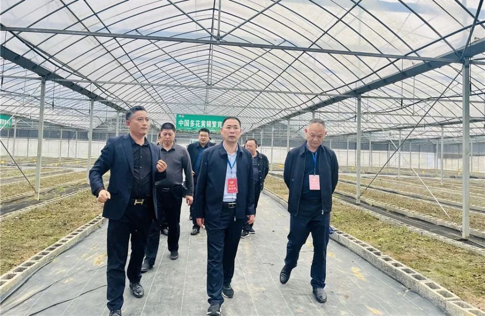 康复水器材有哪些来了！早闻政协_https://www.jmylbn.com_新闻资讯_第18张