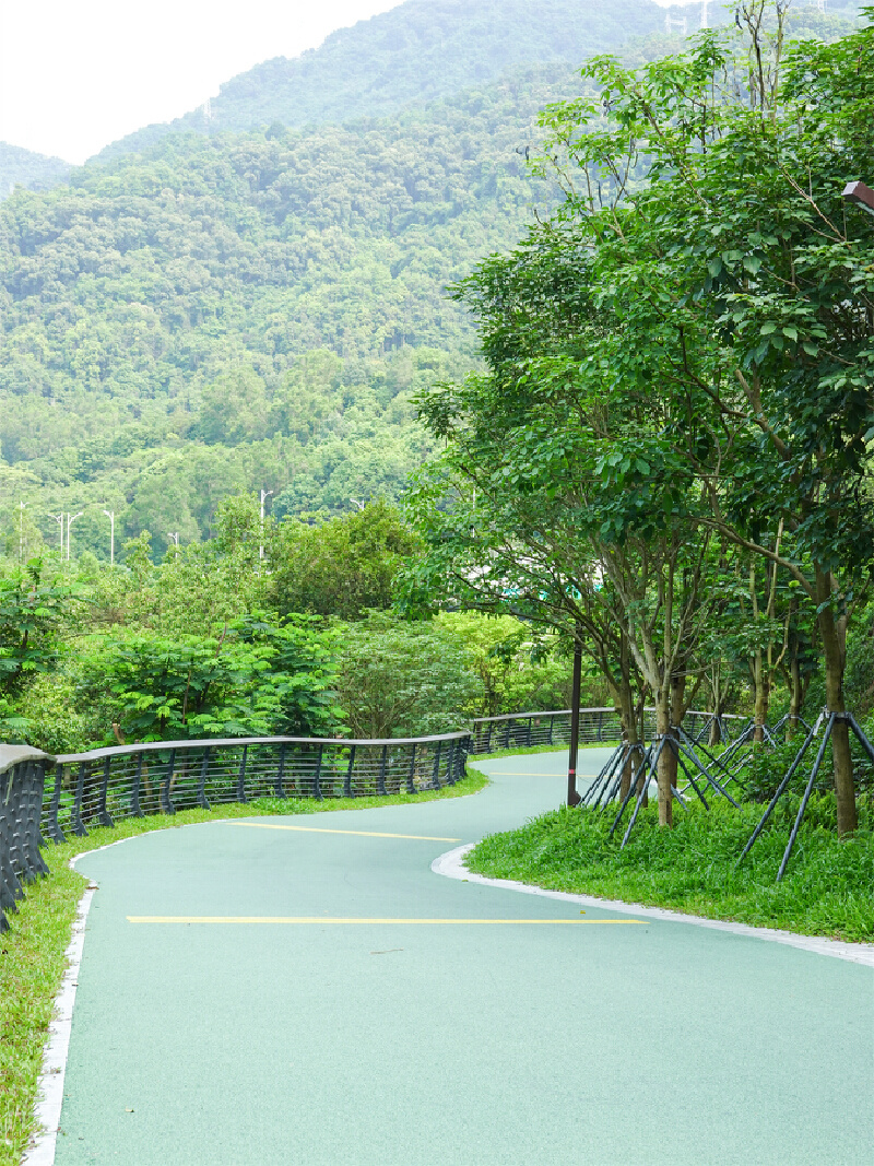深圳enjoy|试过了,这条绿道真的可以"去班味"