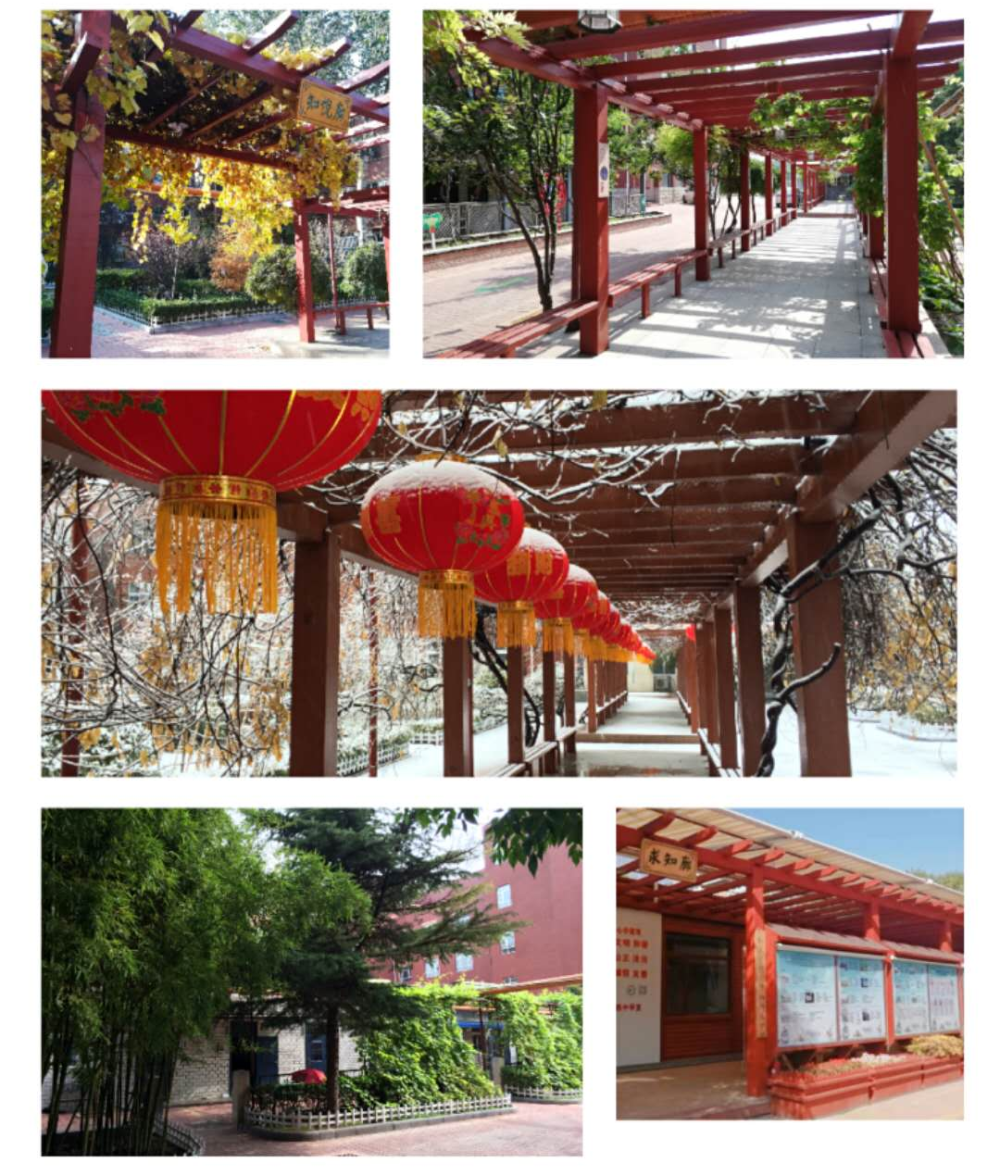 普高巡礼 | 天津市微山路中学(附开放日时间)