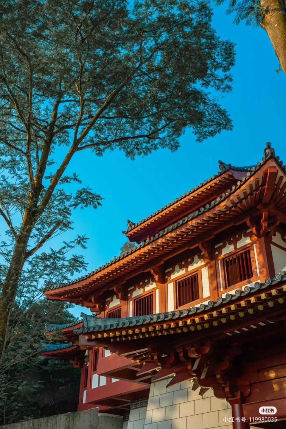 专属增城的中式美学!一起来体会