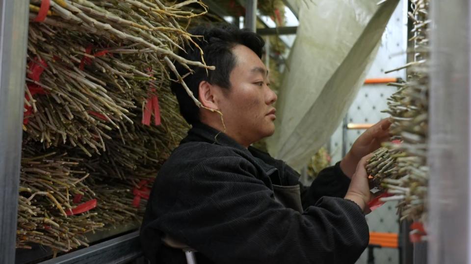 开屏人物｜杨龙吉：用勤劳和坚守书写“向阳人生”_腾讯新闻