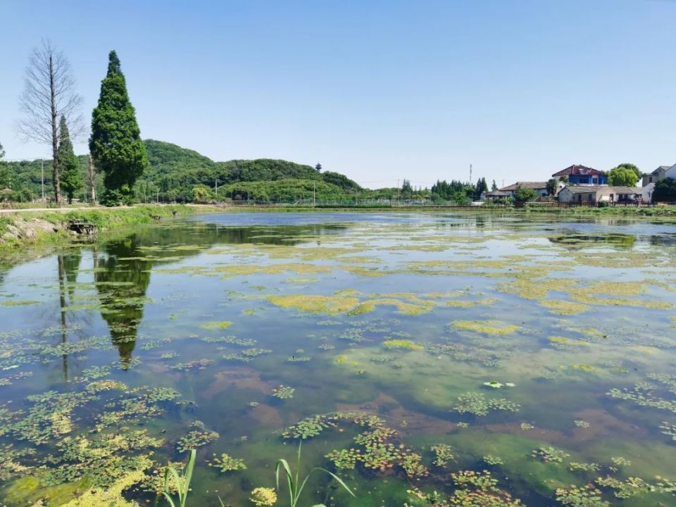 山舳庖蝗惺缘,打造有"颜"又有"料"的特色乡村