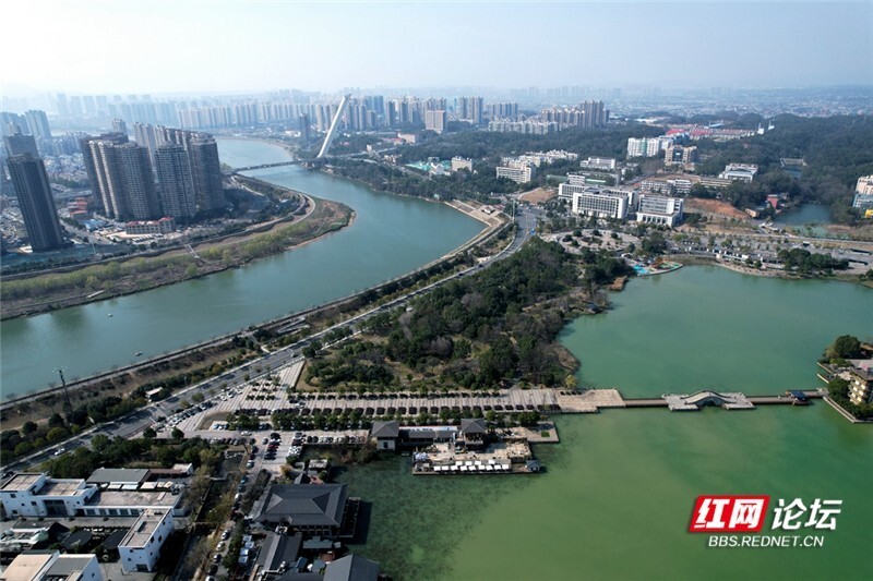 醉美踏春行丨春来碧水柳垂帘,航拍长沙月湖公园之春_腾讯新闻