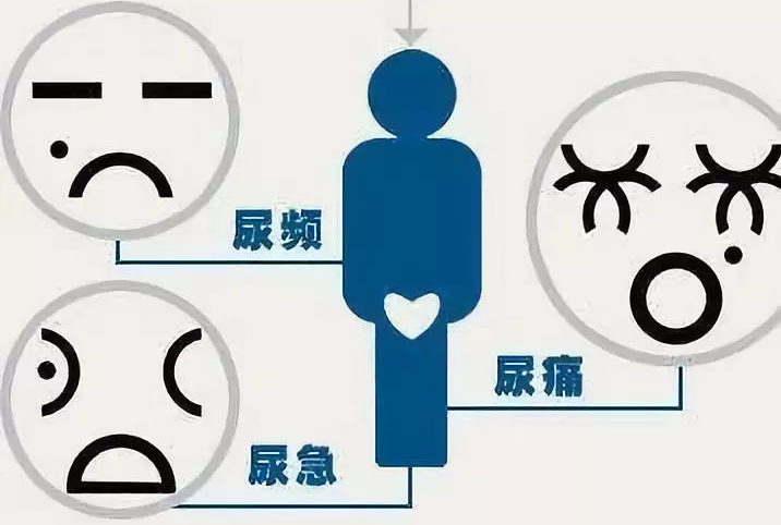 尿频尿急 当心尿路感染!哪些人容易发生?