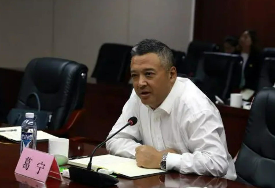 妄图当官发财两不误,葛宁被处理