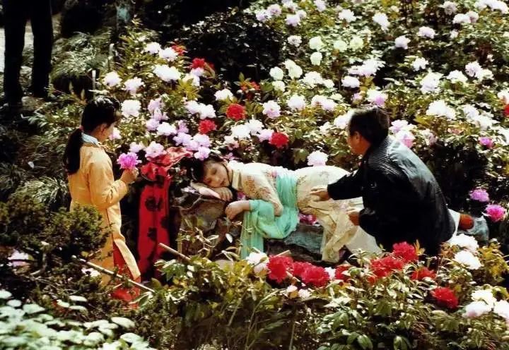 原班人马重聚，87版红楼梦35周年纪念音乐会下周登陆杭州大剧院！你知道这部经典电视剧“打卡”过杭州这些地方吗？(红楼梦30年音乐会没参加的演员是谁)